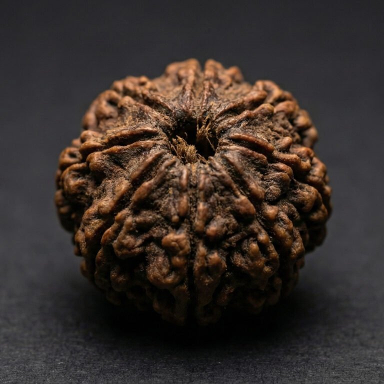8 Mukhi Rudraksha